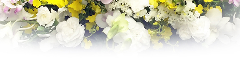 生花祭壇プラン